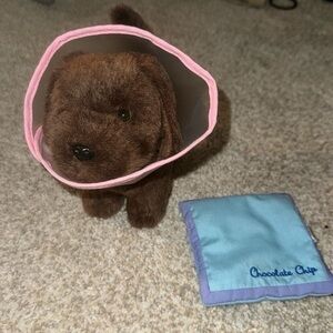 American Girl Dog and Accessories